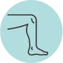 Leg